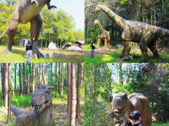 -洪湖悦兮半岛国际温泉度假村