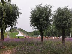 -北戴河集发农业梦想王国