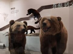 -长江文明馆