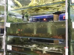 -量贩海鲜餐厅
