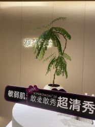 -雅荷悦来双美