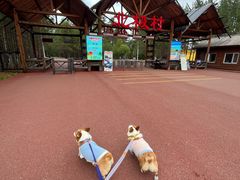 -北极村旅游风景区