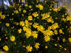 -木王宴语·野生鲜菌火锅(玉河店)