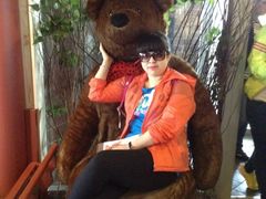 -济州岛泰迪熊博物馆