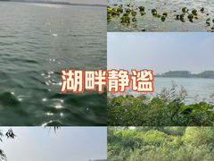 -丁香湖公园