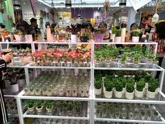 -KKV(深圳宏发大仟里店)