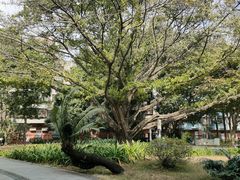 -垂虹公园