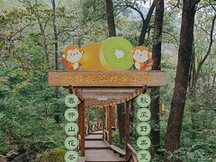 -大岭沟猕猴桃谷风景区