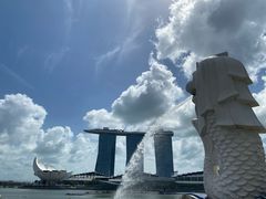 -老伴豆花(麦士威熟食中心店)