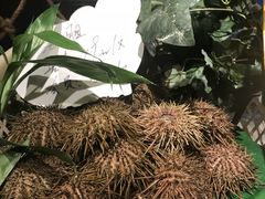 -苏大嘴海鲜牧场(奥林匹克店)