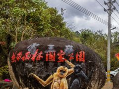 -海南霸王岭国家森林公园