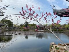 -无锡蠡湖国家湿地公园-蠡园