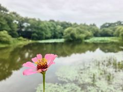 -八卦田遗址公园