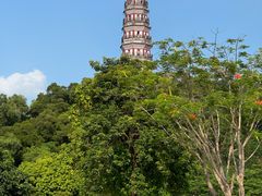 -顺峰山公园