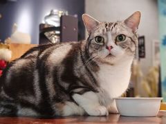 -咖法森林·咖啡  酒吧(天河店)