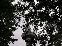 -茶颜悦色(岳麓山顶店)
