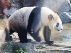 -武汉动物园