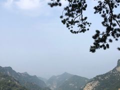 -少华山国家森林公园