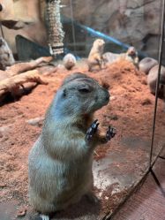 -Zoolung Zoolung动物主题公园(海信广场店)