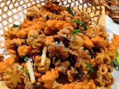-东来菜馆•手抓海鲜家常菜•海鲜锅贴(鸽子窝店)