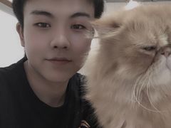 -Heymao猫咖.咖啡厅(东门店)