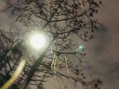 -深圳市罗湖体育馆