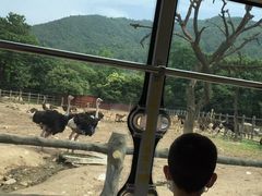 -西安秦岭野生动物园