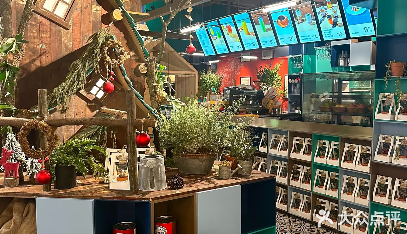 成都！值得反复N刷的漂亮西餐，好吃不贵！