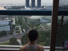 -新加坡瑞士史丹福酒店