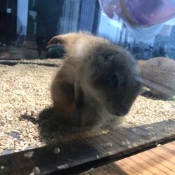 -未来动物城主题公园(正弘城店)