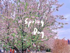 -元大都城垣遗址公园