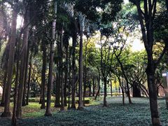 -南宁南湖公园