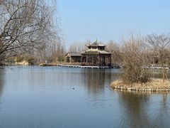 -溱湖国家湿地公园