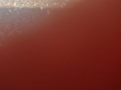 -回味鸭血粉丝汤(砂之船店)