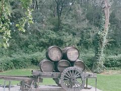 -北京张裕爱斐堡酒庄