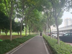 -汉江湾体育公园