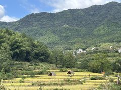 -塔川景区