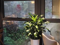 -树厨贵州菜(铜仁花果山店)