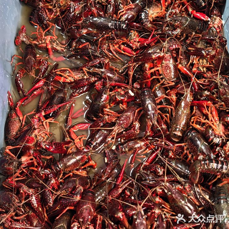 烤串配啤酒才叫周末