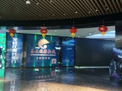 -春天国际影城(中庚漫游城杜比全景声店)