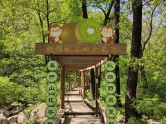 -大岭沟猕猴桃谷风景区