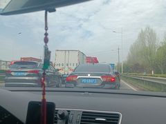 -上海滨江森林公园·停车场