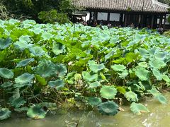 -成都杜甫草堂博物馆