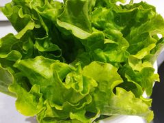 -古乐牛香·鲜牛肉牛杂火锅(吴江三里桥运东商业广场店)