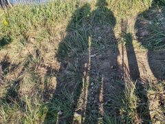 -萍乡武功山风景名胜区