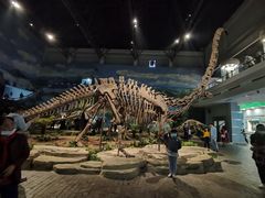 -自贡恐龙博物馆