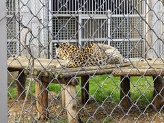 -合肥野生动物园
