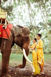 -太古映画婚纱摄影(天河店)