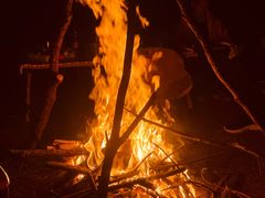 -盘龙城国家考古遗址公园