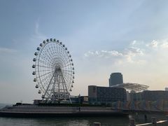 -琴岛之星摩天轮